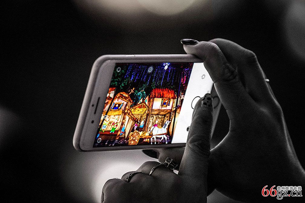 2袁远刚—透过手机看灯会(2)—.jpg