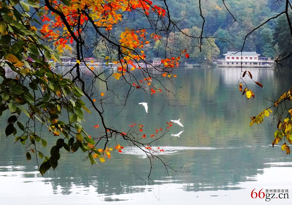 黔灵秋韵(邱克光15519041831).jpg