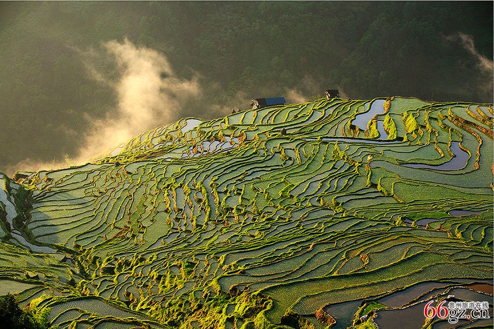 龙现梯田.jpg