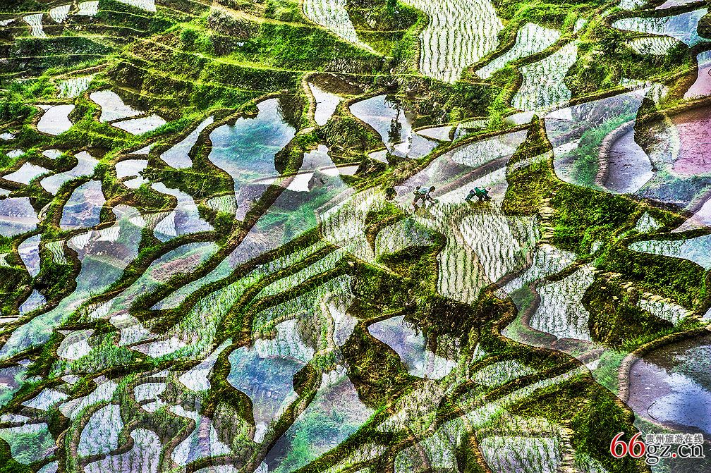 梦幻梯田.jpg