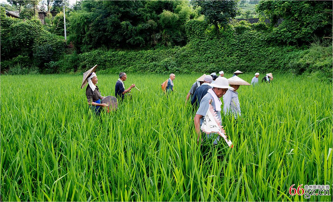 13石阡薅草锣鼓村民寨老带领村民下田薅草.jpg