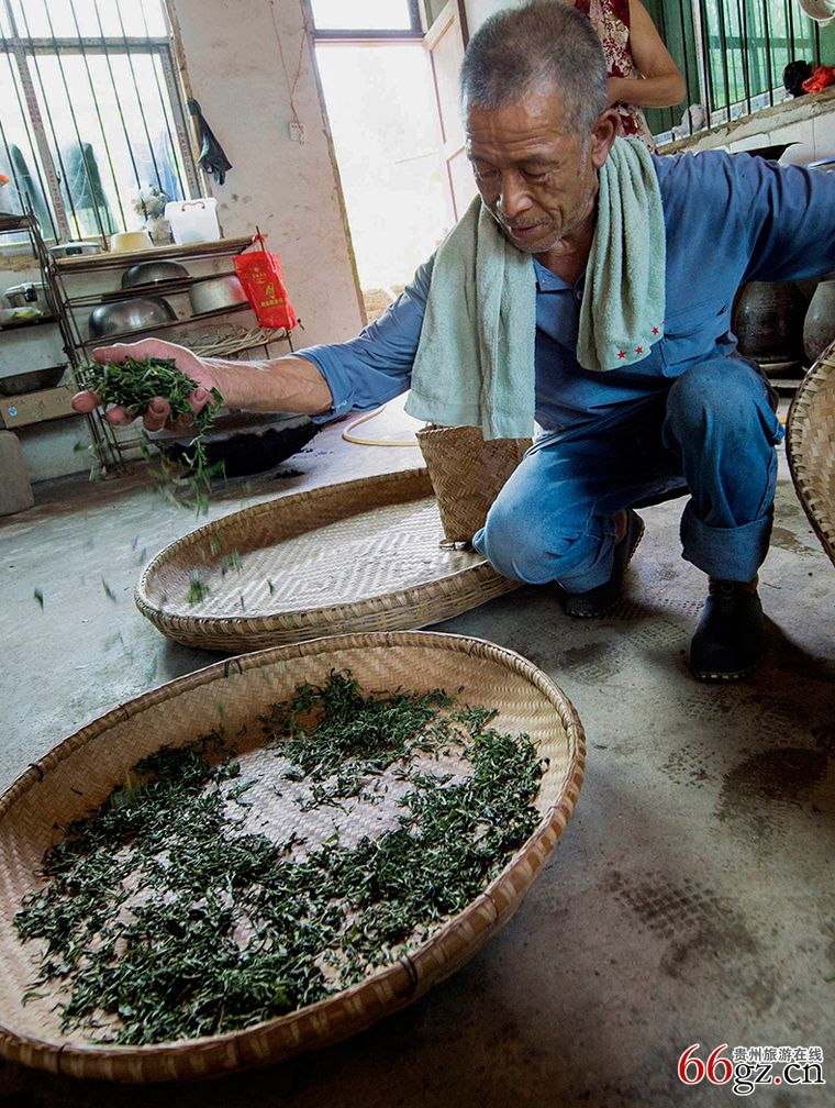 11石阡非物质文化遗产土法制茶工艺分茶.jpg