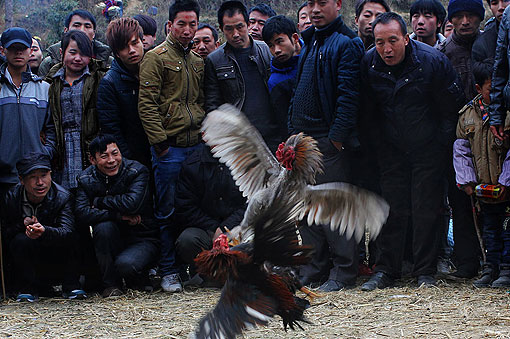 �������۷�