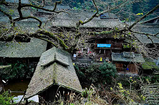 ������կ