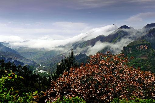 ʩ�����ŷ��