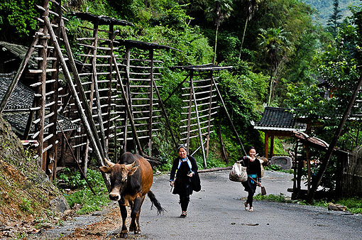 ռ��������