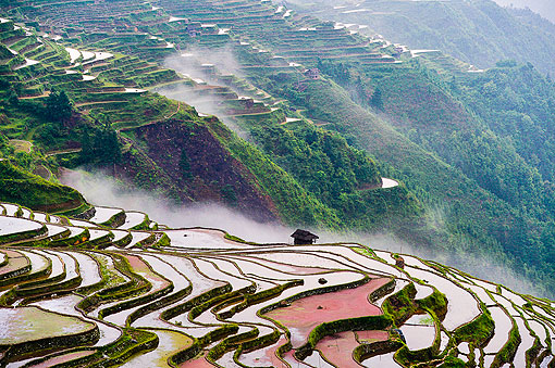 �˼�����--�Ӱ�����