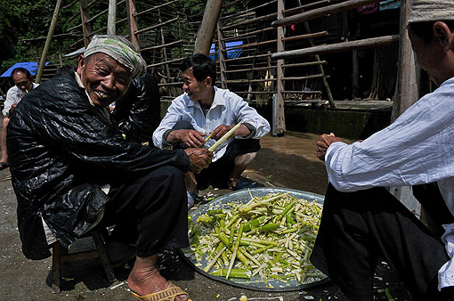 �����ζ