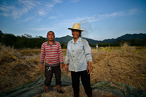 ���յ�ϲ��