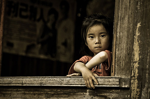 ����ĺ���