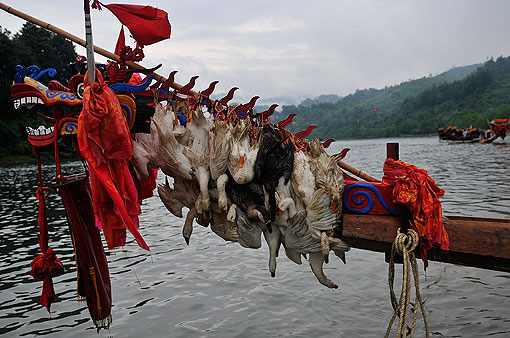 ʩ����ľ���۽�