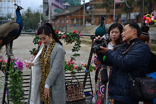 ������ϵ��������