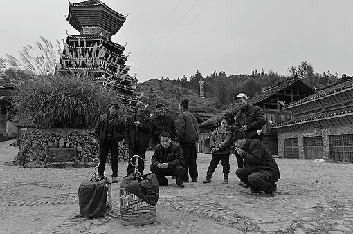 ��¥ǰ����