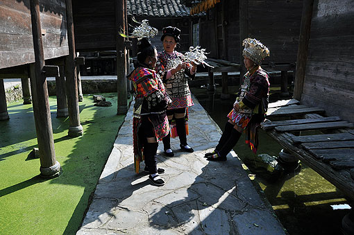 ��Ͼ�����