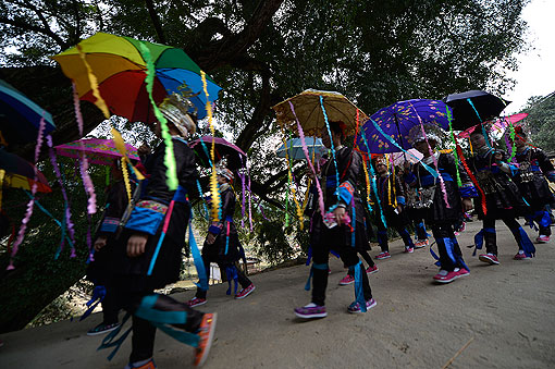 ׳�����ӭ����