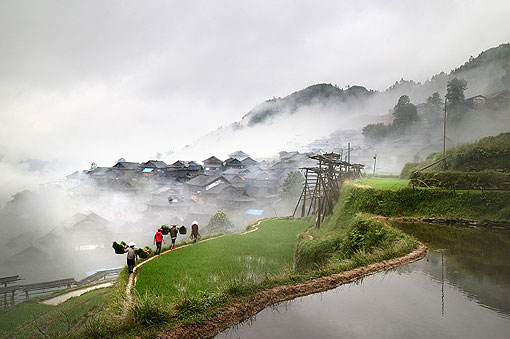 ¢���С���