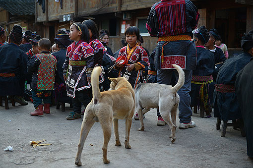 ȫ�Ҹ���ȫկ��