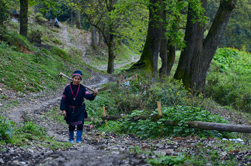 ������կ