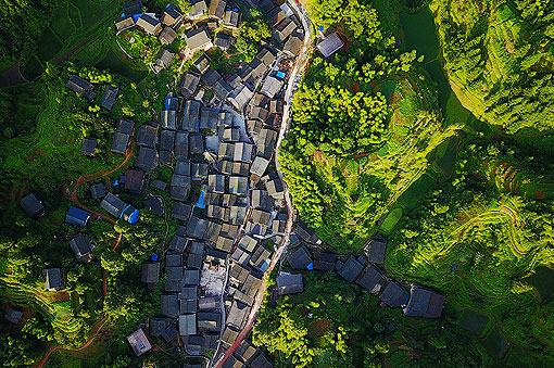 �����׵���կ