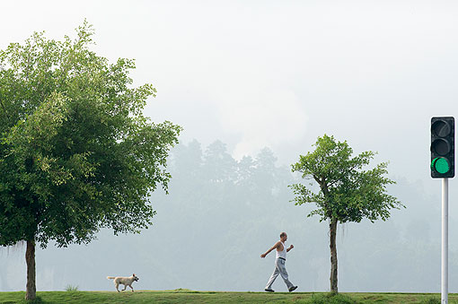 ��ɫ����