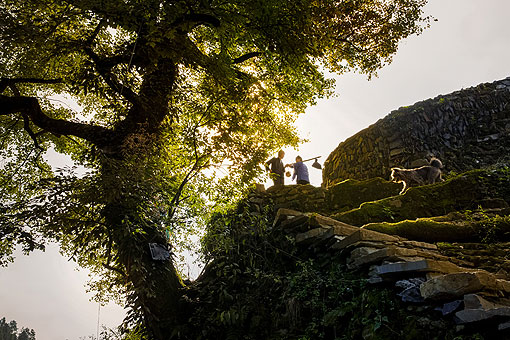 �����ϵķ���