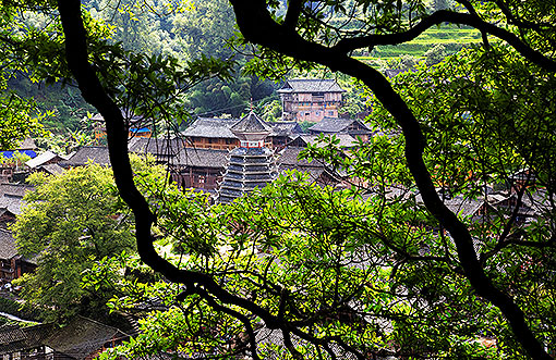 ������կ