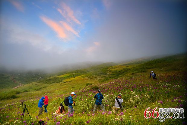贵州自驾三十六计手机大赛的举办黄金周期间正值钟山区韭菜花开得最好时季吸引了不少外省的摄影爱好者--王述慷摄.jpg