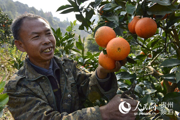 1228գʡŽĶֳ¹Ȼһڲժȡ 