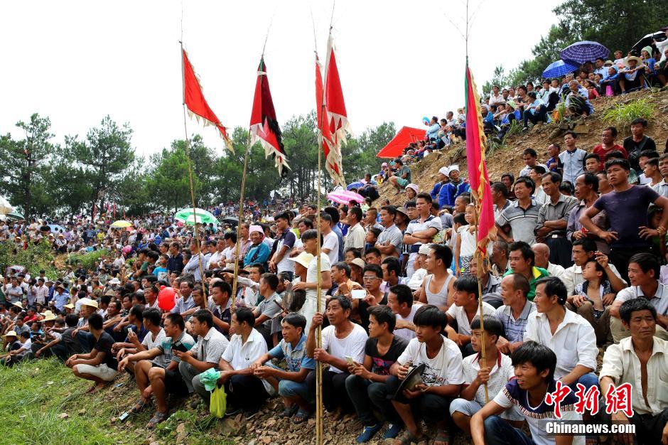 �����Ž��綱ͬ���۶�ţ�ȡ����½ڡ� ����׳��