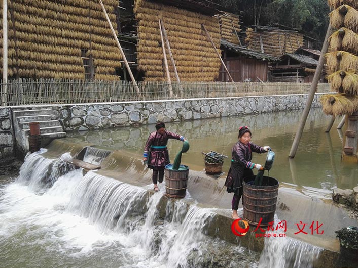 从江县占里侗寨的妇女在河道中制作用于染布的蓝靛(记者 郝迎灿 摄)