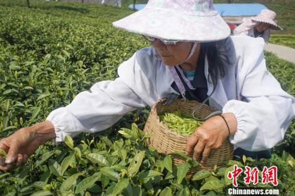 ͼΪڹݹũǰɲƲæؿ