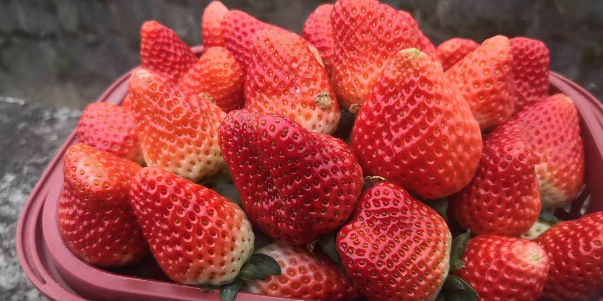 WeChat Image_20190308194553.jpg