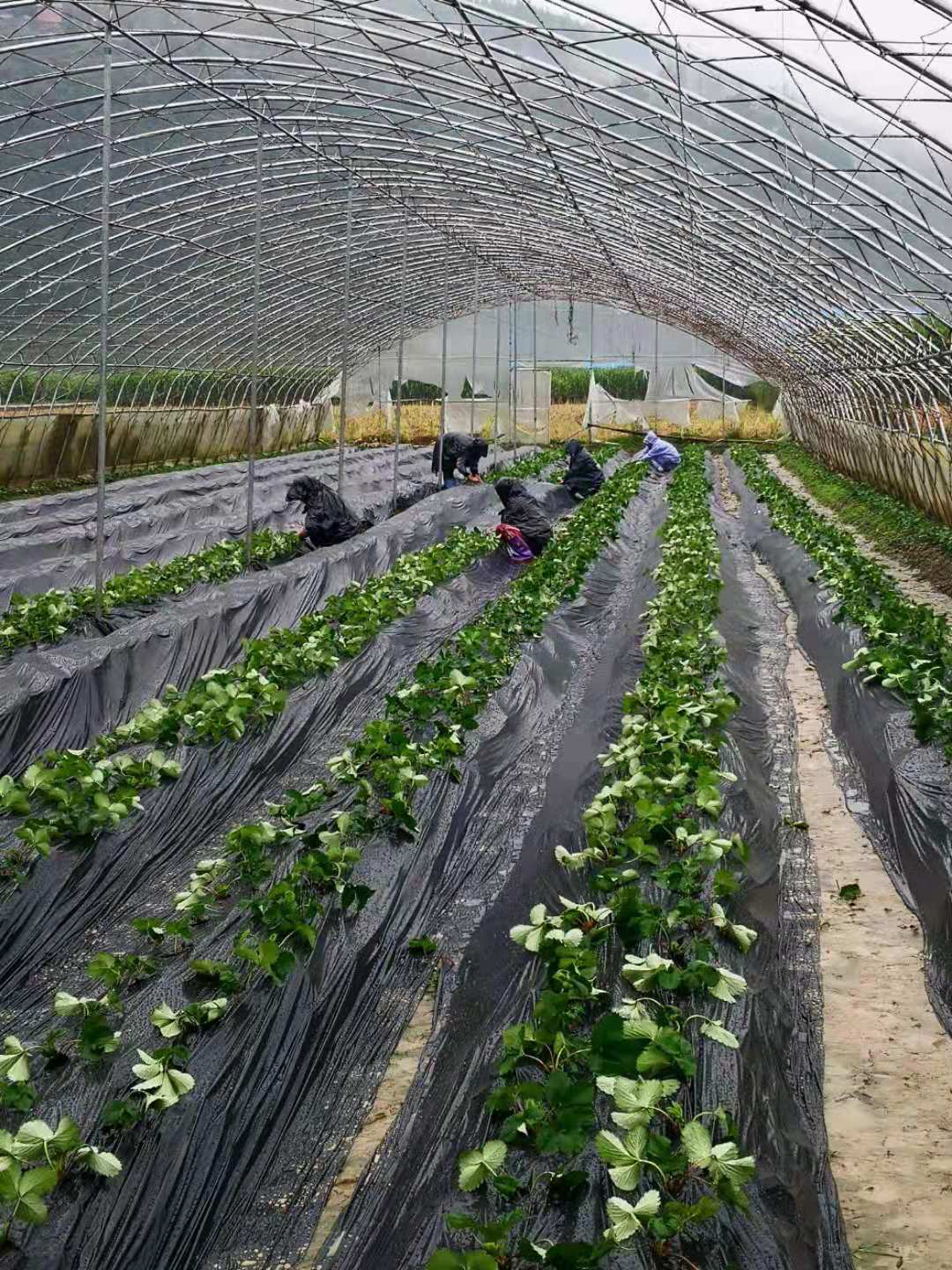 WeChat Image_20190308200015.jpg