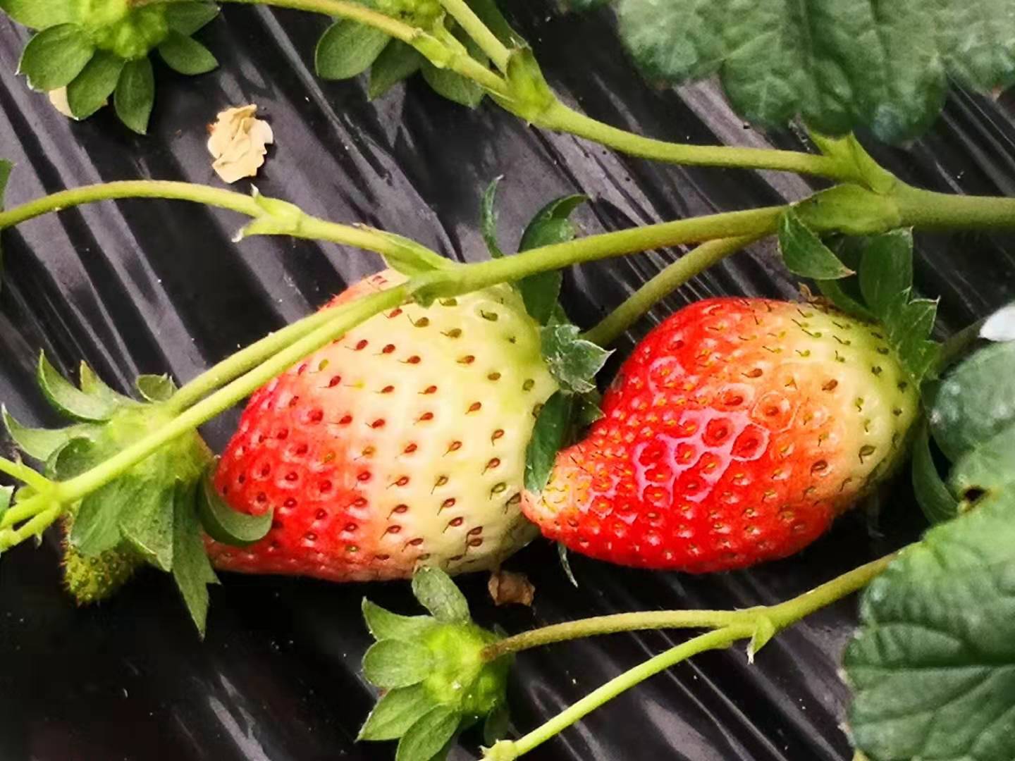 WeChat Image_20190308200024.jpg