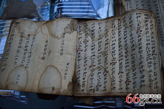 世界六大古文字之一 彝文 -贵州旅游在线