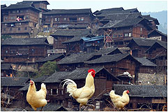 ƹšǧկС߿סҹ򡢻Ϫ԰ 