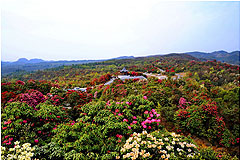 ƹšž飩С߿סǧկҹ򡢻Ϫ԰       ΣΪΣ