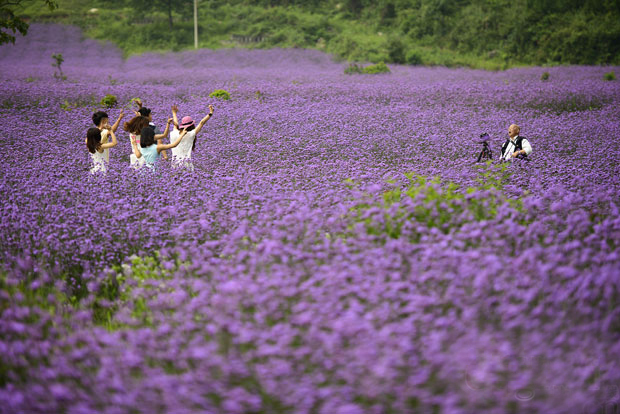 五一自驾游贵州 11条旅游线路推荐-贵州旅游