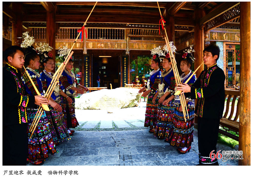 贵州大学学生摄影协会周年摄影展作品选-贵州