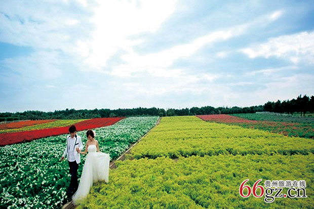 金夫人婚纱摄影基地_中国婚纱摄影基地