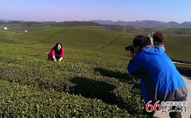 考察团一行考察铜仁苗王茶海景区.jpg