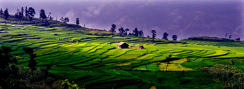4、梯田瓦房(六盘水市旅游局-王述慷--13985381266).jpg