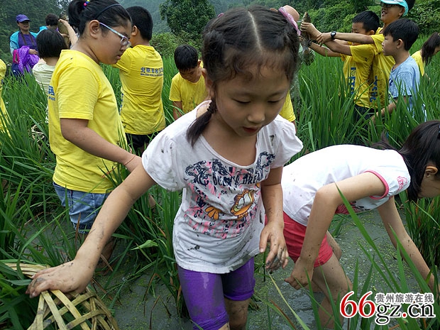研学夏令营促热剑河暑期游-贵州旅游在线