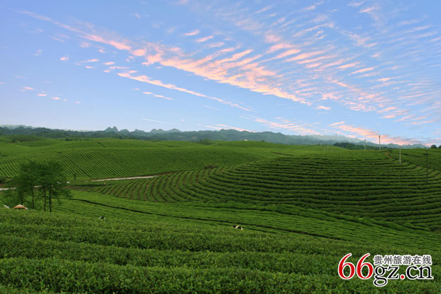 湄潭茶海休闲度假旅游景区(贵州省旅游局).jpg