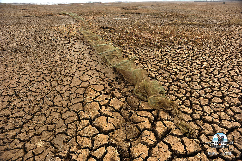 ���������ݺ��ɺ�ʵ��