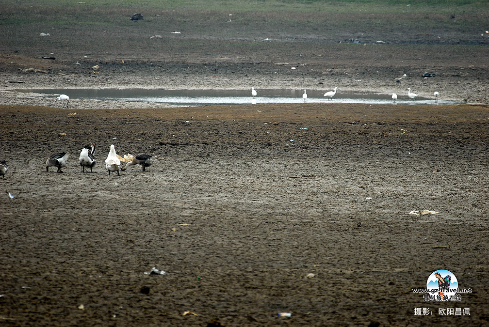 ���ݣ��������ڼ���