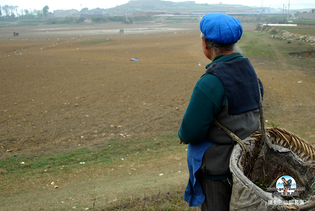 ���ݣ��������ڼ���