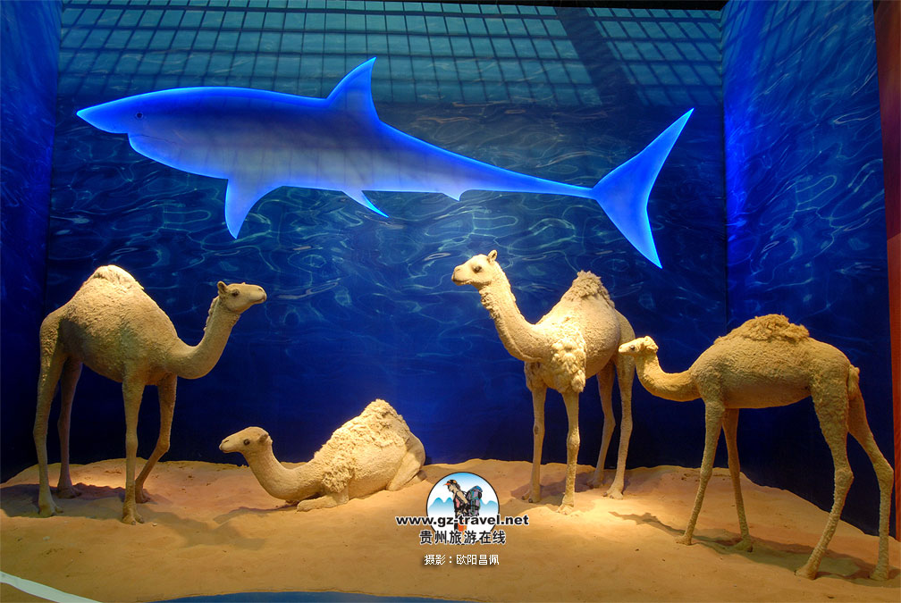 �Ϻ�����԰