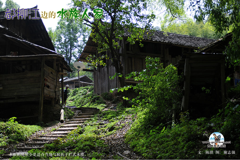 �������ߵ�ˮ���˼�