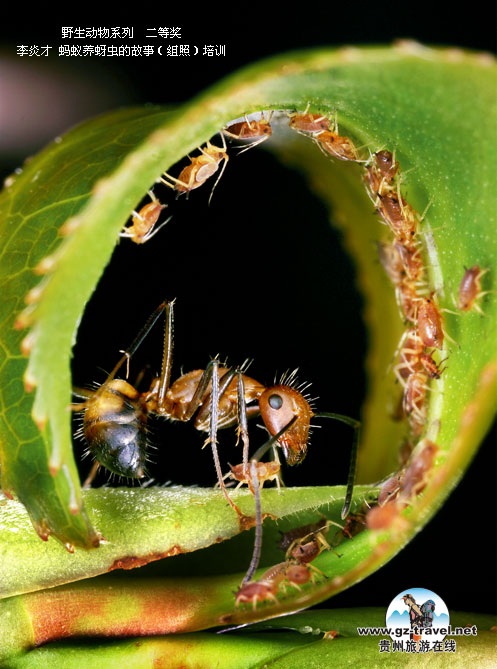 ʹ#8226йԭ̬Ӱ ҰϵжȽ